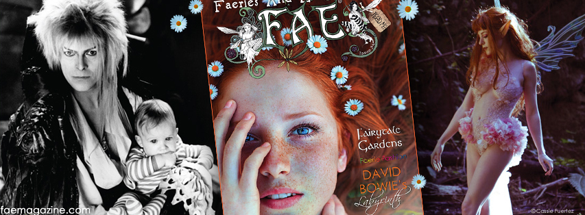 FAE__FB_Cover_34